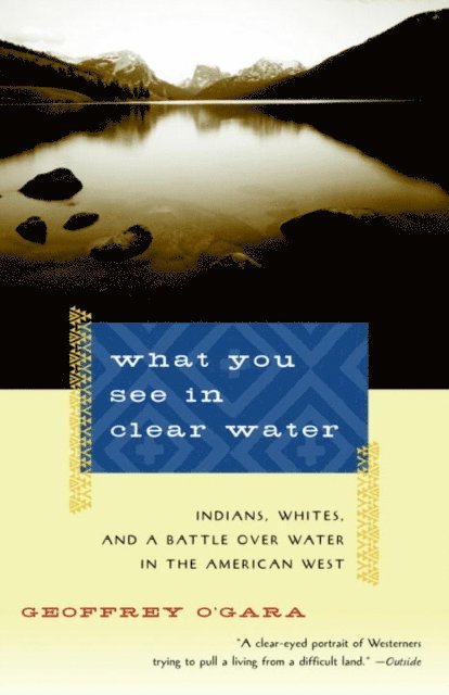 Geoffrey O'Gara - What You See in Clear Water, E-bok