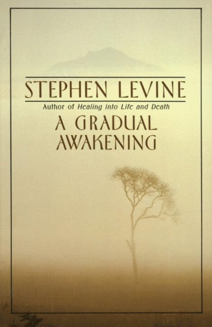 Stephen Levine - Gradual Awakening, E-bok
