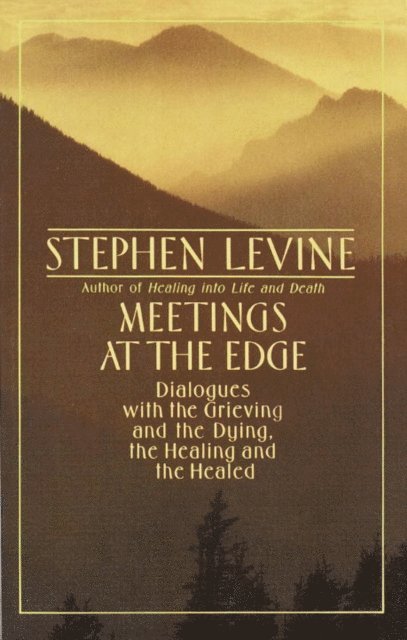 Stephen Levine - Meetings at the Edge, E-bok