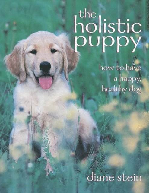 Diane Stein - Holistic Puppy, E-bok
