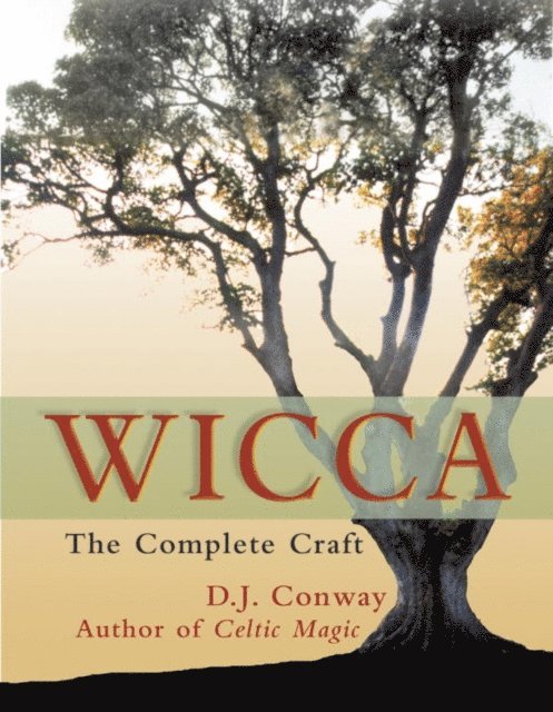 D.J. Conway - Wicca, E-bok