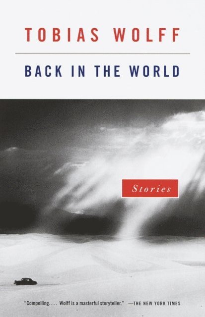 Tobias Wolff - Back in the World, E-bok