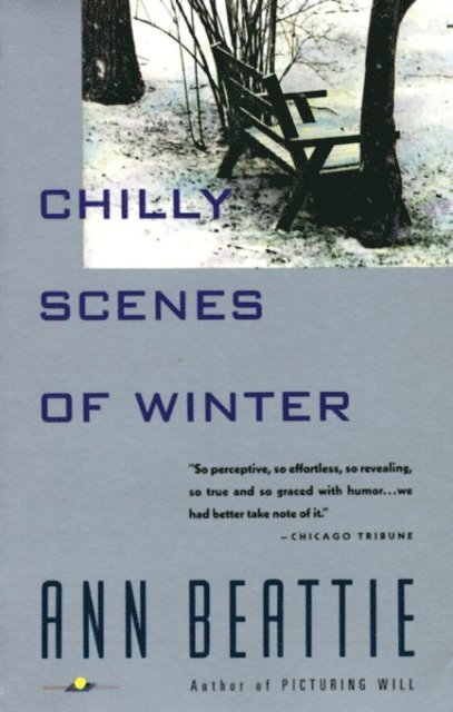 Ann Beattie - Chilly Scenes of Winter, E-bok