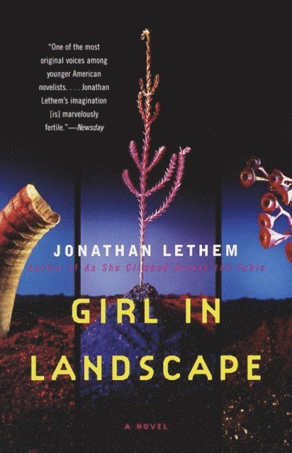 Jonathan Lethem - Girl in Landscape, E-bok