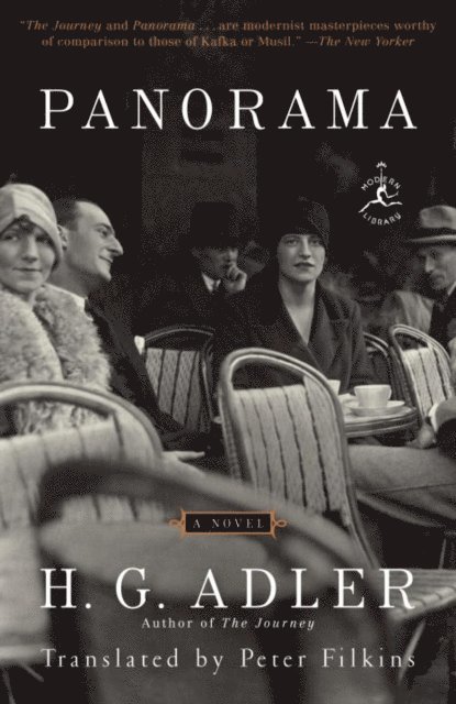H. G. Adler - Panorama, E-bok
