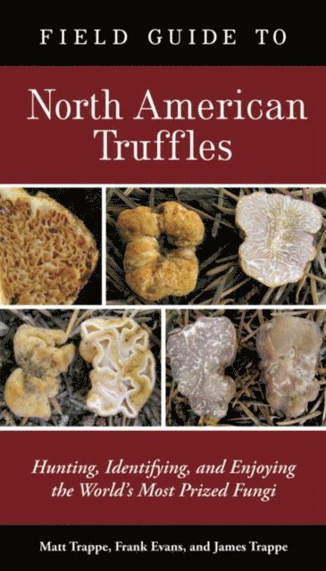 James M. Trappe, Frank Evans, Matt Trappe - Field Guide to North American Truffles, E-bok