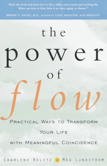 Meg Lundstrom, Charlene Belitz - Power of Flow, E-bok