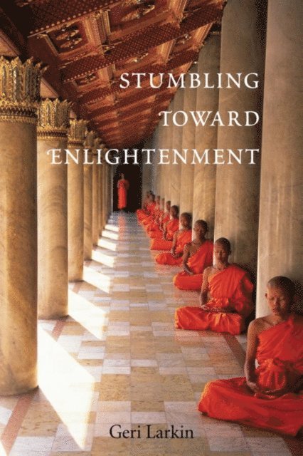 Geri Larkin - Stumbling Toward Enlightenment, E-bok