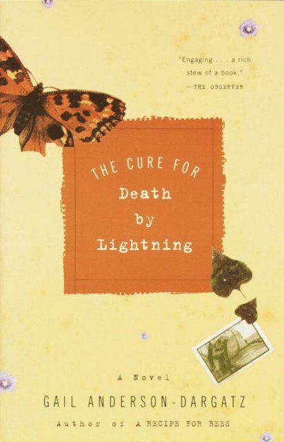Gail Anderson-Dargatz - Cure for Death by Lightning, E-bok