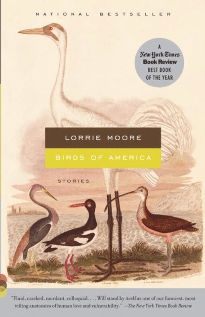 Lorrie Moore - Birds of America, E-bok