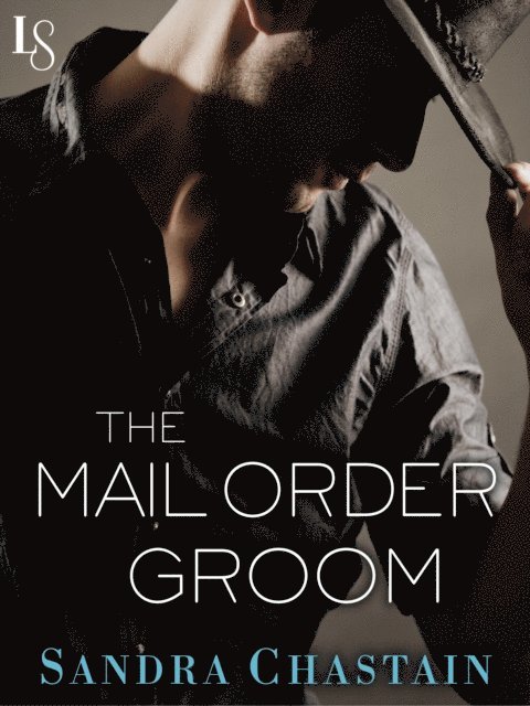 Sandra Chastain - Mail Order Groom, E-bok