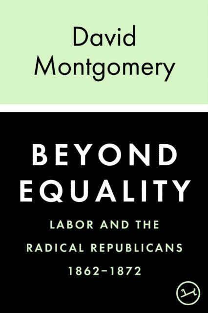 David Montgomery - Beyond Equality, E-bok