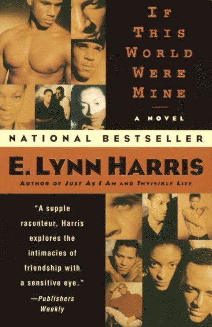 E. Lynn Harris - If This World Were Mine, E-bok