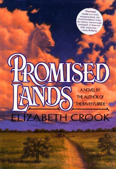 Elizabeth Crook - Promised Lands, E-bok