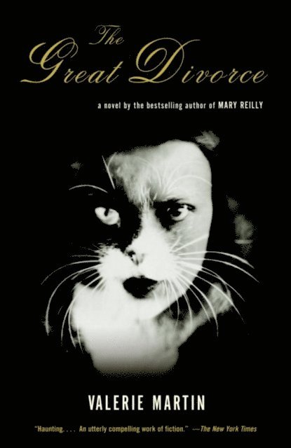 Valerie Martin - Great Divorce, E-bok