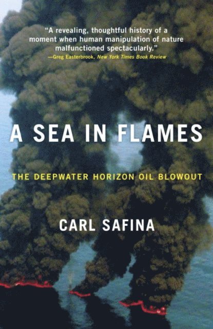 Carl Safina - Sea in Flames, E-bok