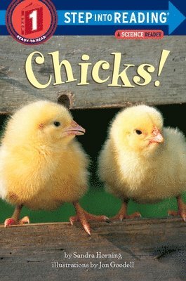 Chicks! av Sandra Horning