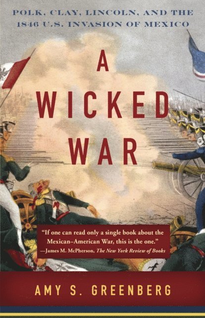 Amy S. Greenberg - Wicked War, E-bok