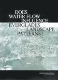 Does Water Flow Influence Everglades Landscape Patterns?