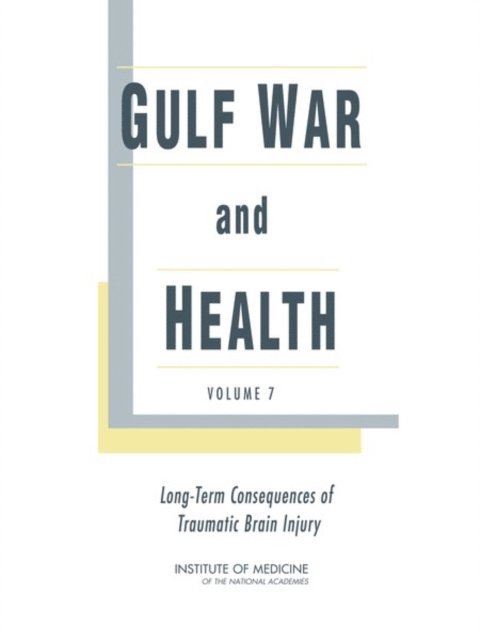 Committee on Gulf War and Health: Brain Injury in Veterans and Long-Term Health Outcomes, Board on Population Health and Public Health Practice, Institute of Medicine - Gulf War and Health, E-bok