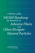 Review of the NIOSH Roadmap for Research on Asbestos Fibers and Other Elongate Mineral Particles