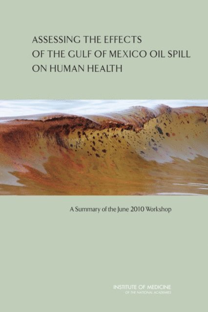 Institute of Medicine, Margaret A. McCoy, Judith A. Salerno - Assessing the Effects of the Gulf of Mexico Oil Spill on Human Health, E-bok