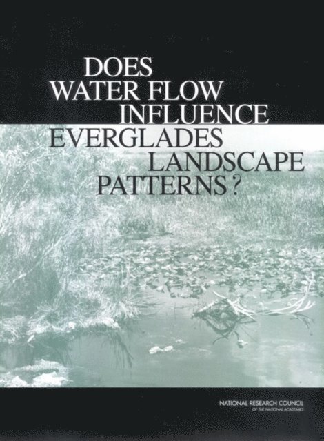 Committee on Restoration of the Greater Everglades Ecosystem, Water Science and Technology Board, Board on Environmental Studies and Toxicology, Division on Earth and Life Studies, National Research Council - Does Water Flow Influence Everglades Landscape Patterns?, E-bok