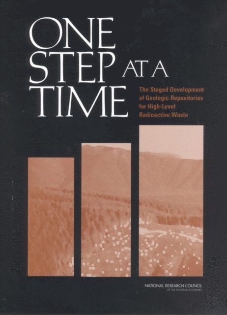 Committee on Principles and Operational Strategies for Staged Repository Systems, Board on Radioactive Waste Management, Division on Earth and Life Studies, National Research Council - One Step at a Time, E-bok