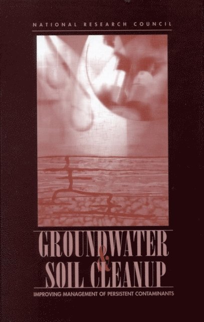 Committee on Technologies for Cleanup of Subsurface Contaminants in the DOE Weapons Complex, Environment and Resources Commission on Geosciences, Division on Earth and Life Studies, National Research Council - Groundwater and Soil Cleanup, E-bok