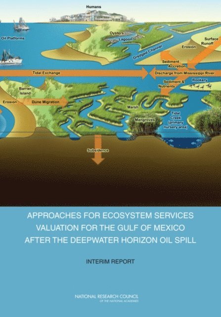 Committee on the Effects of the Deepwater Horizon Mississippi Canyon-252 Oil Spill on Ecosystem Services in the Gulf of Mexico, Ocean Studies Board, Division on Earth and Life Studies, National Research Council - Approaches for Ecosystem Services Valuation for the Gulf of Mexico After the Deepwater Horizon Oil Spill, E-bok