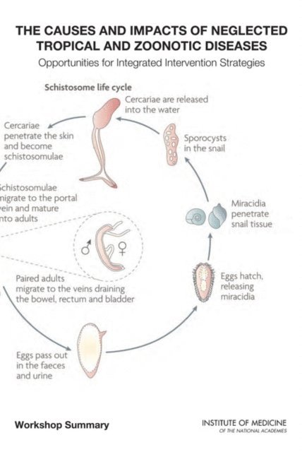 Forum on Microbial Threats, Board on Global Health, Institute of Medicine, Eileen R. Choffnes, David A. Relman - Causes and Impacts of Neglected Tropical and Zoonotic Diseases, E-bok
