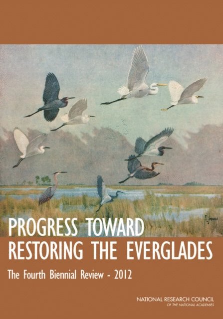Committee on Independent Scientific Review of Everglades Restoration Progress, Water Science and Technology Board, Board on Environmental Studies and Toxicology, Division on Earth and Life Studies, National Research Council - Progress Toward Restoring the Everglades, E-bok