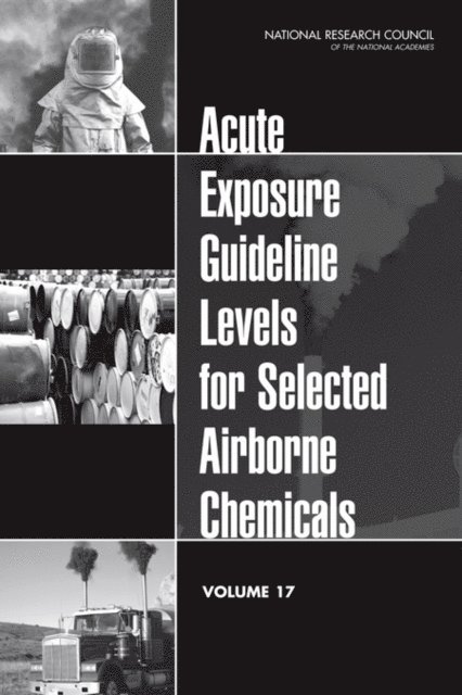 Committee on Acute Exposure Guideline Levels, Committee on Toxicology, Board on Environmental Studies and Toxicology, Division on Earth and Life Studies, National Research Council - Acute Exposure Guideline Levels for Selected Airborne Chemicals, E-bok