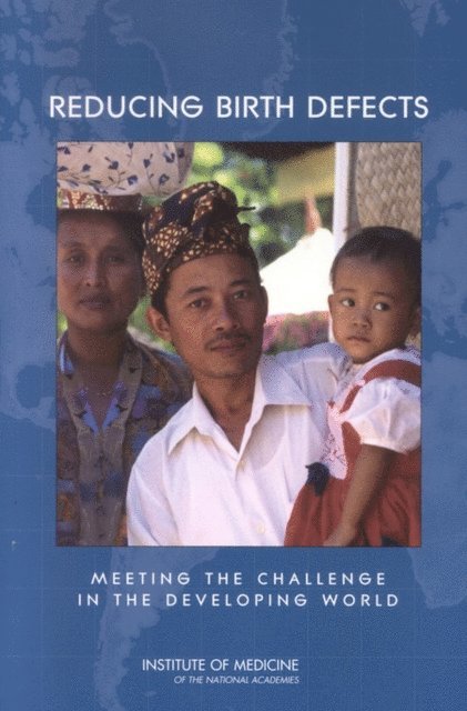 Committee on Improving Birth Outcomes, Board on Global Health, Institute of Medicine, Judith R. Bale, Barbara J. Stoll, Adetokunbo O. Lucas - Reducing Birth Defects, E-bok