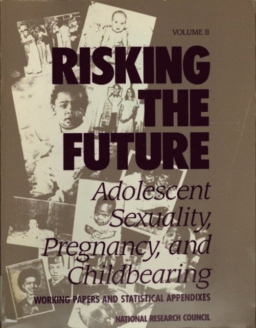 Panel on Adolescent Pregnancy and Childbearing,National Research Council, Commission on Behavioral and Social Sciences and Education, Division of Behavioral and Social Sciences and Education, Cheryl D. Hayes - Risking the Future, E-bok