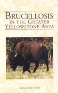 Brucellosis in the Greater Yellowstone Area