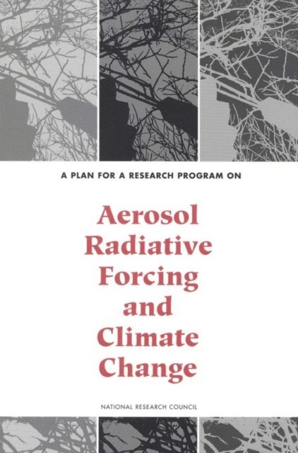 Panel on Aerosol Radiative Forcing and Climate Change, Environment and Resources Commission on Geosciences, Division on Earth and Life Studies, National Research Council - Plan for a Research Program on Aerosol Radiative Forcing and Climate Change, E-bok
