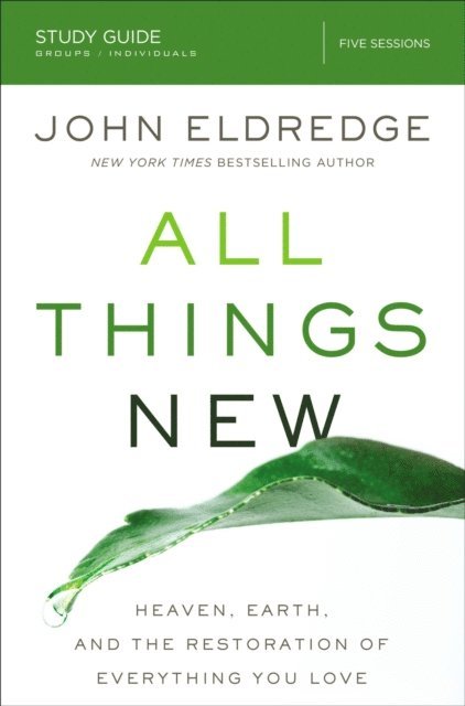 John Eldredge - All Things New Study Guide, E-bok