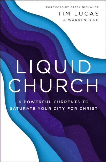 Warren Bird, Tim Lucas - Liquid Church, E-bok