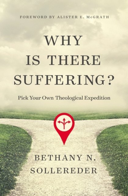 Bethany N. Sollereder - Why Is There Suffering?, E-bok