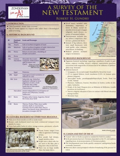 Robert H. Gundry - Survey of the New Testament Laminated Sheet, E-bok