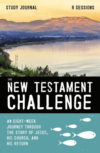 Jeff Manion - New Testament Challenge Study Journal, E-bok