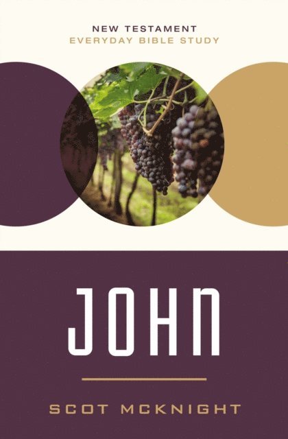 Scot McKnight - John, E-bok