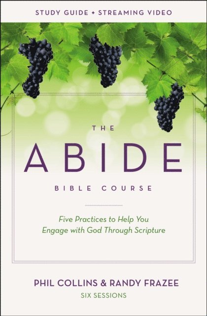 Randy Frazee, Phil Collins - Abide Bible Course Study Guide plus Streaming Video, E-bok