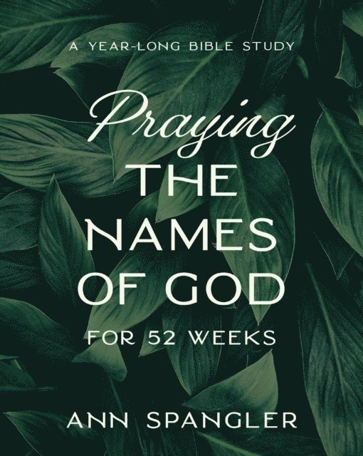 Ann Spangler - Praying the Names of God for 52 Weeks, Expanded Edition, E-bok