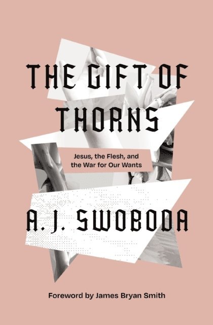 A. J. Swoboda - Gift of Thorns, E-bok