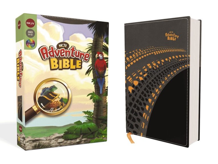 Lawrence O. Richards - NKJV, Adventure Bible, Leathersoft, Gray, Full Color, Inbunden