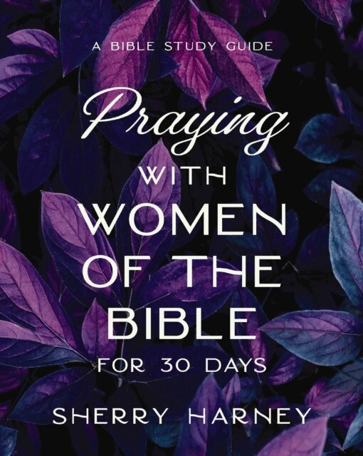 Sherry Harney - Praying with Women of the Bible for 30 Days, E-bok