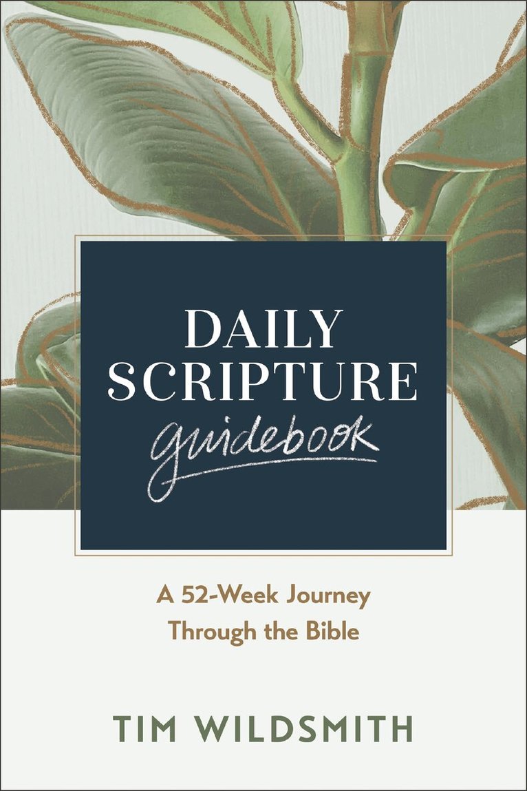 Tim Wildsmith - Daily Scripture Guidebook, Häftad