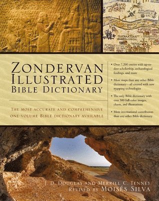 Zondervan Illustrated Bible Dictionary av J D Douglas, Merrill C Tenney, J D Douglas, Merrill C Tenney, Moisés Silva